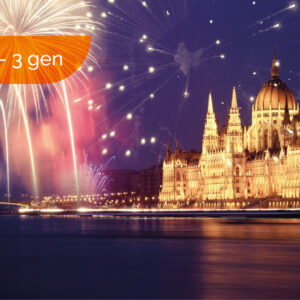 Capodanno a Budapest